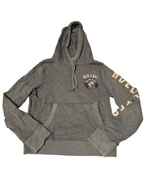 2000s Hollister Malibu Gray Pullover Hoodie | Small